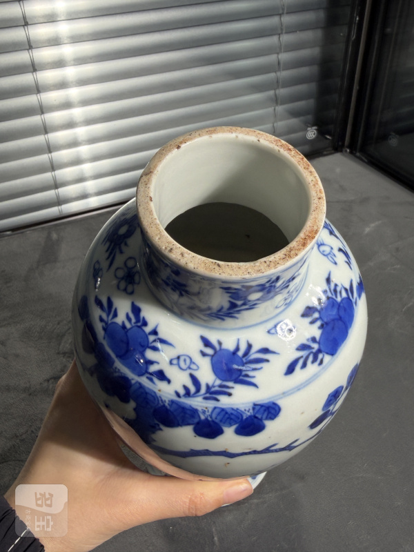 清光绪青花雉鸡牡丹纹梅瓶 - 图9